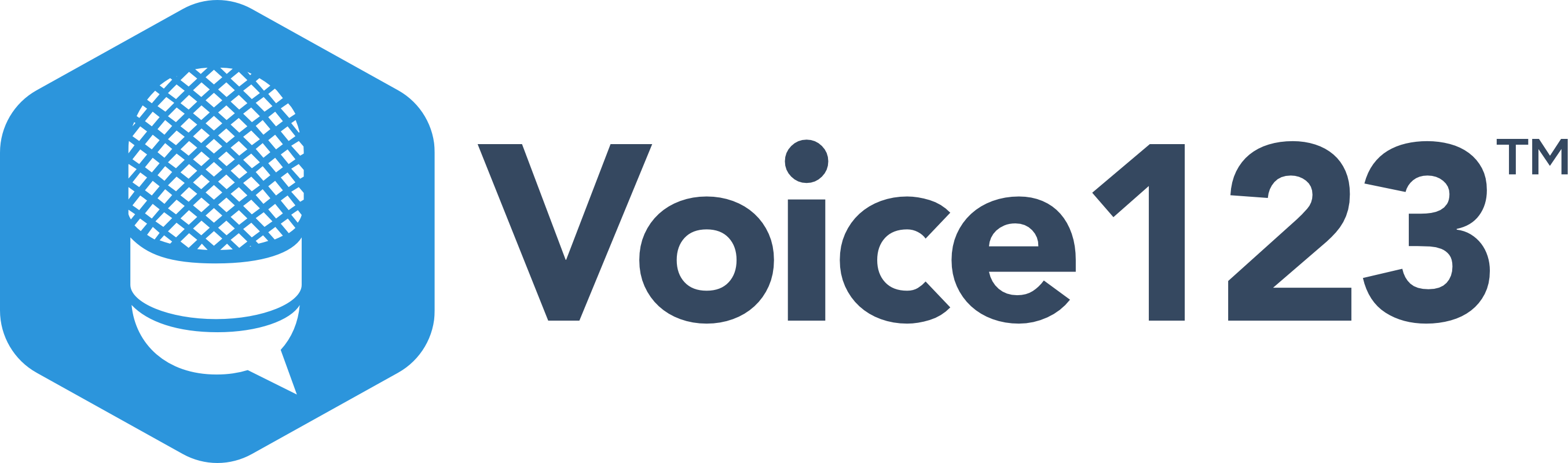 Voice123 Logo Transparent